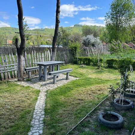 Green Garden Петрошань Екстер'єр фото