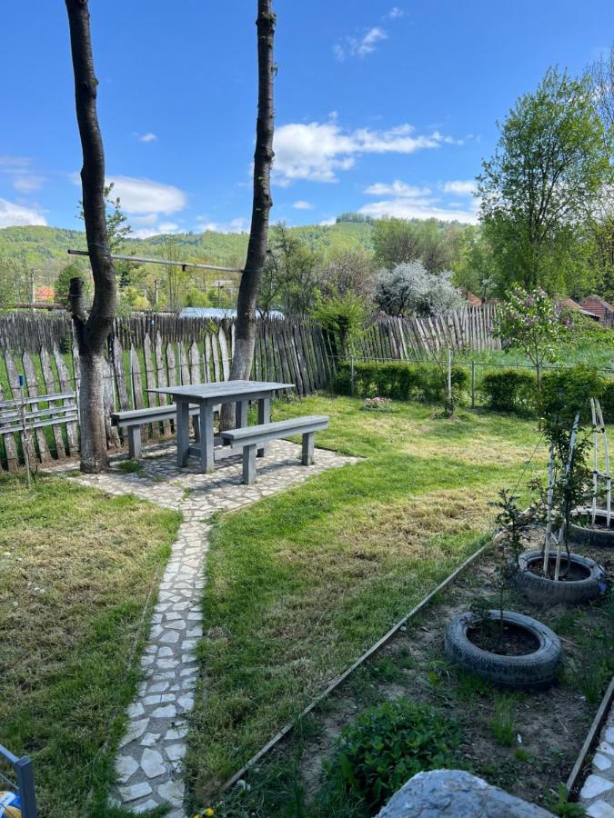 Green Garden Петрошань Екстер'єр фото